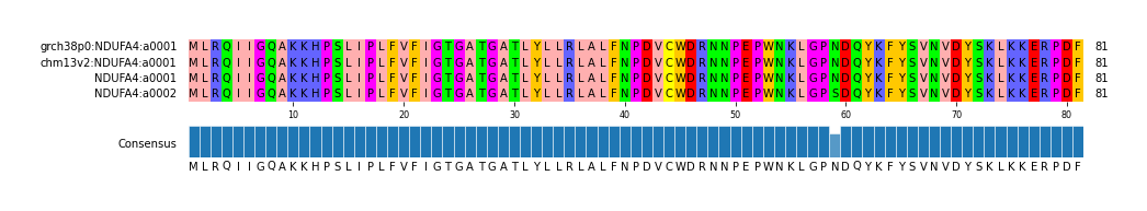 Multiple Alignments (by translate haplotype frequency)