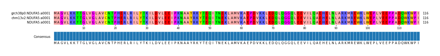 Multiple Alignments (by translate haplotype similarity)