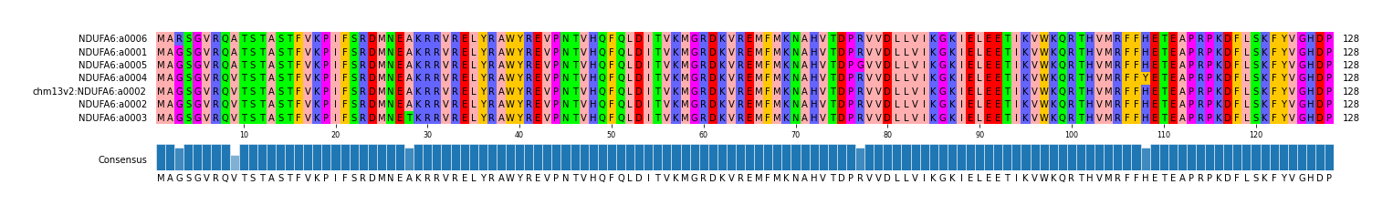 Multiple Alignments (by translate haplotype similarity)