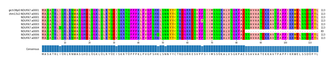 Multiple Alignments (by translate haplotype frequency)