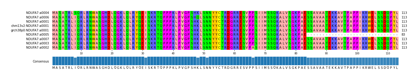 Multiple Alignments (by translate haplotype similarity)