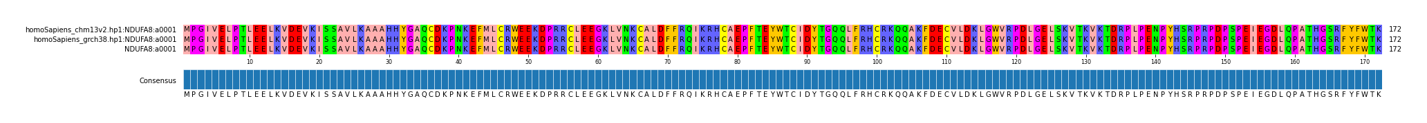 Multiple Alignments (by translate haplotype similarity)