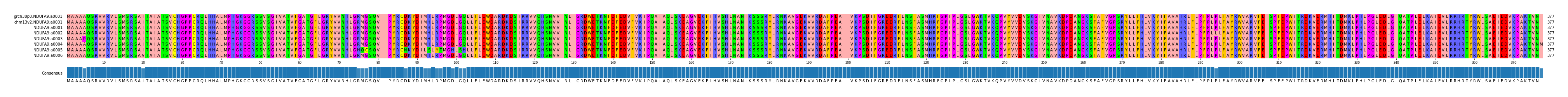 Multiple Alignments (by translate haplotype frequency)