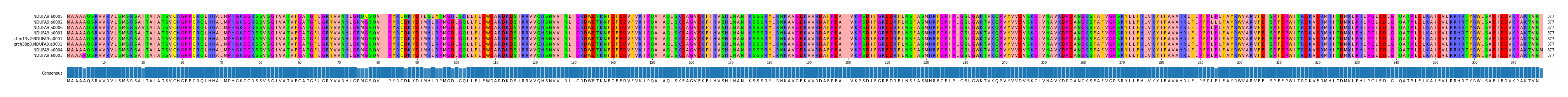 Multiple Alignments (by translate haplotype similarity)