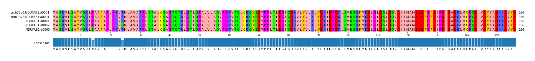 Multiple Alignments (by translate haplotype frequency)