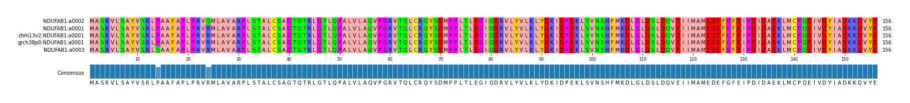 Multiple Alignments (by translate haplotype similarity)