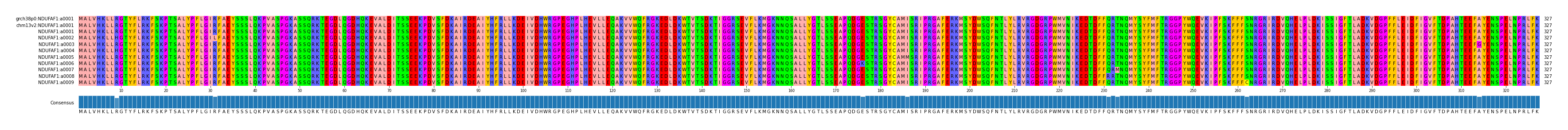 Multiple Alignments (by translate haplotype frequency)