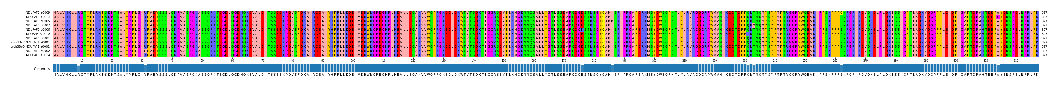 Multiple Alignments (by translate haplotype similarity)