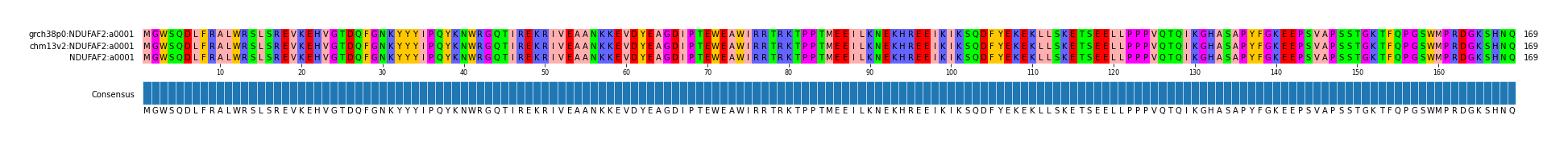 Multiple Alignments (by translate haplotype similarity)