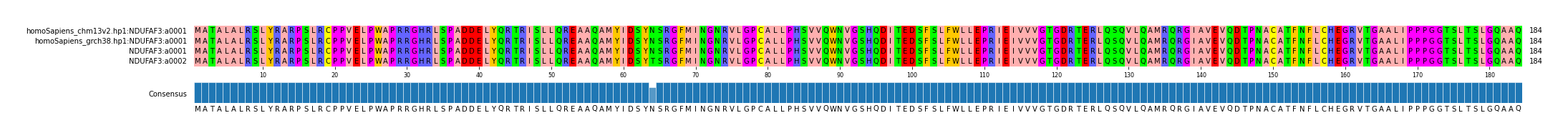Multiple Alignments (by translate haplotype similarity)