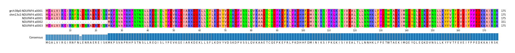Multiple Alignments (by translate haplotype similarity)