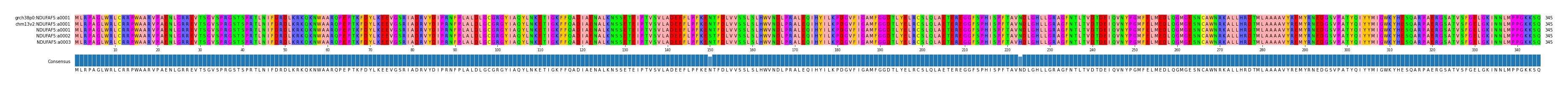 Multiple Alignments (by translate haplotype frequency)