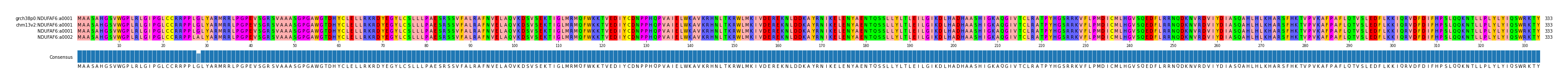 Multiple Alignments (by translate haplotype similarity)