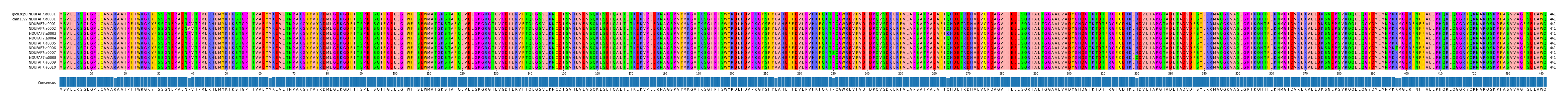 Multiple Alignments (by translate haplotype frequency)