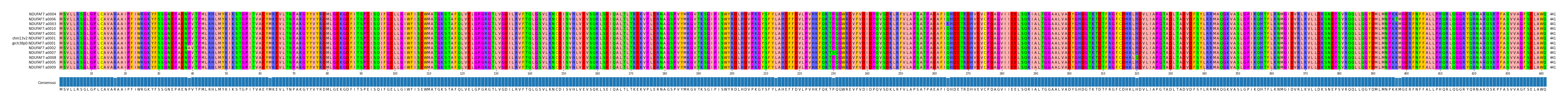 Multiple Alignments (by translate haplotype similarity)