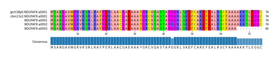 Multiple Alignments (by translate haplotype frequency)