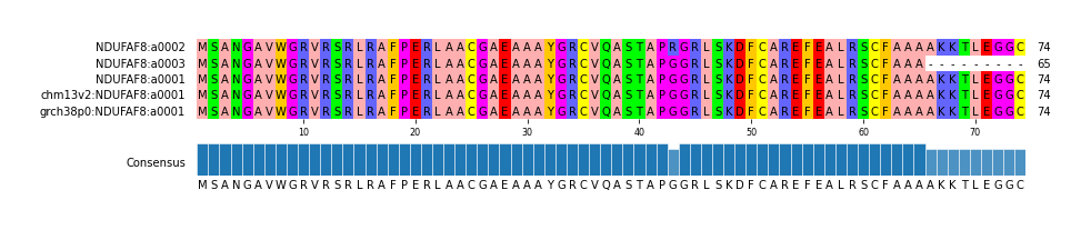 Multiple Alignments (by translate haplotype similarity)