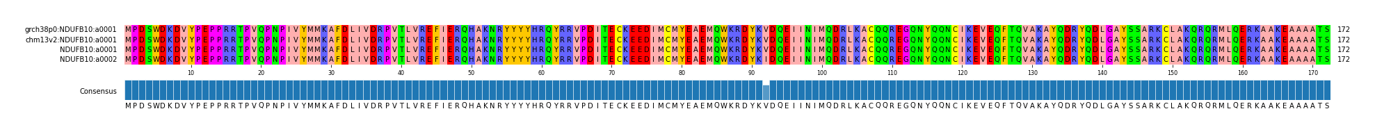 Multiple Alignments (by translate haplotype frequency)