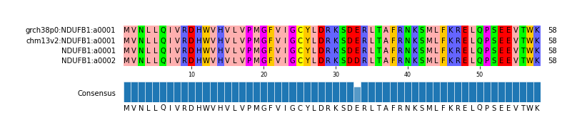 Multiple Alignments (by translate haplotype similarity)