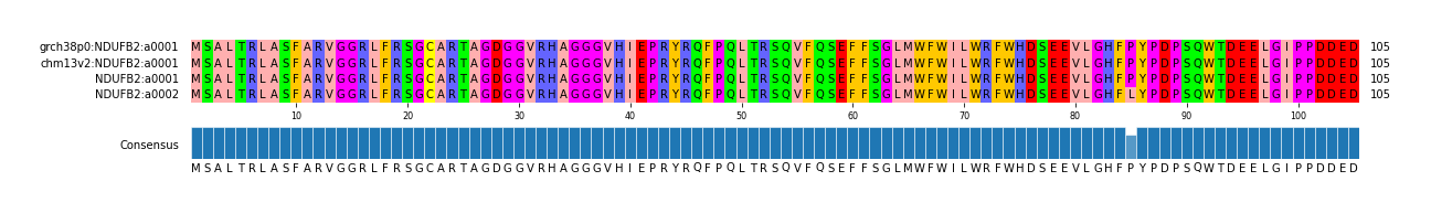 Multiple Alignments (by translate haplotype similarity)