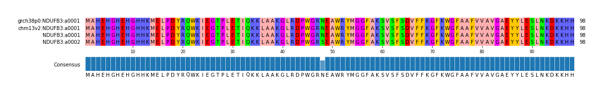 Multiple Alignments (by translate haplotype similarity)