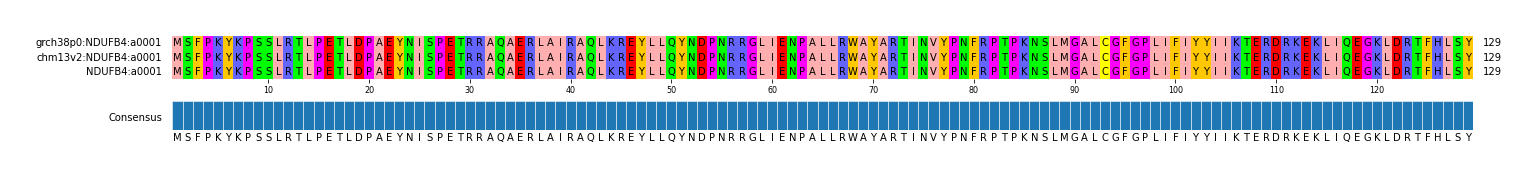 Multiple Alignments (by translate haplotype similarity)
