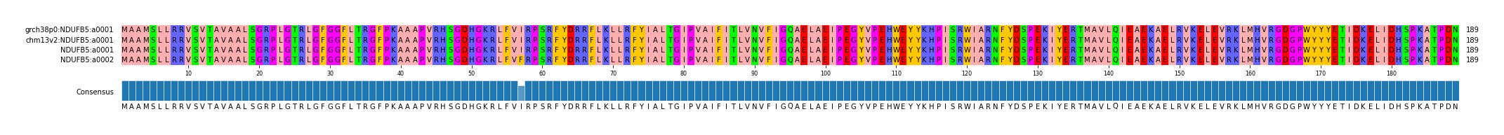 Multiple Alignments (by translate haplotype similarity)