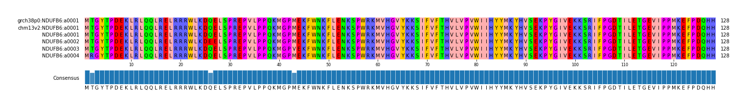 Multiple Alignments (by translate haplotype frequency)