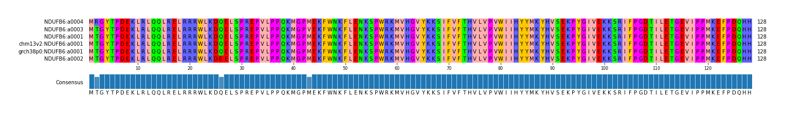 Multiple Alignments (by translate haplotype similarity)