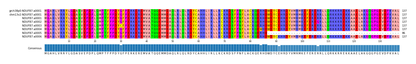 Multiple Alignments (by translate haplotype frequency)