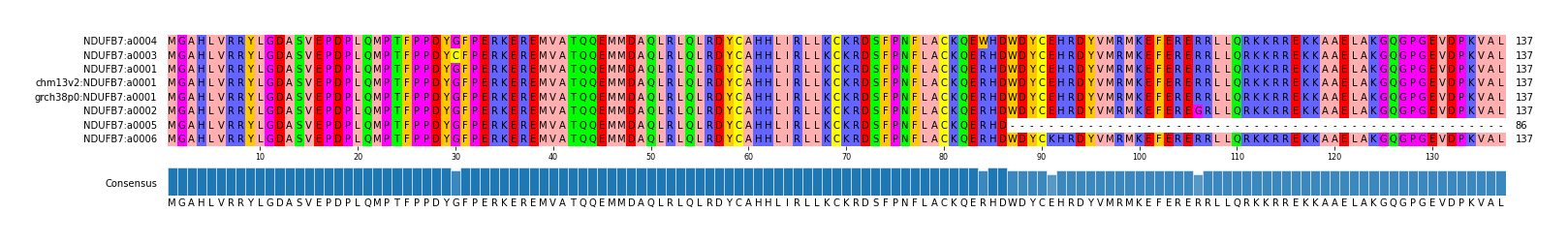 Multiple Alignments (by translate haplotype similarity)