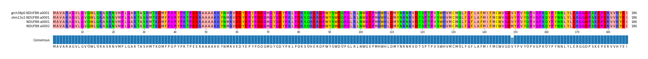 Multiple Alignments (by translate haplotype similarity)