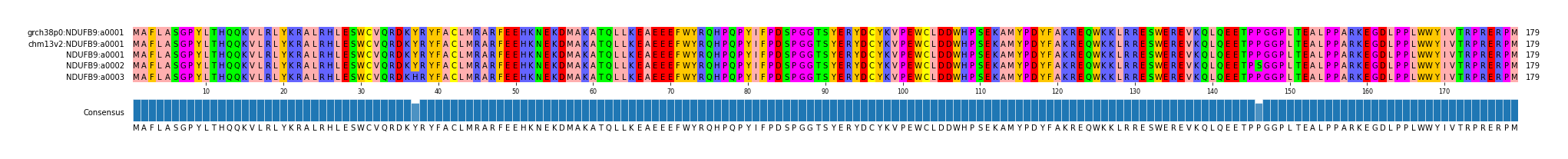 Multiple Alignments (by translate haplotype frequency)
