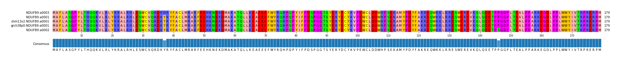Multiple Alignments (by translate haplotype similarity)