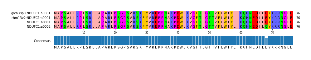 Multiple Alignments (by translate haplotype similarity)