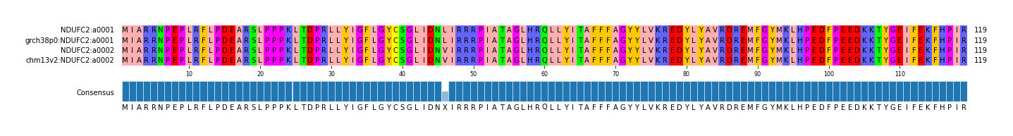 Multiple Alignments (by translate haplotype similarity)