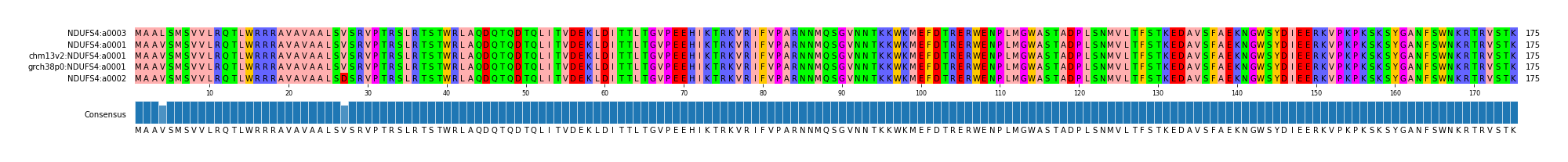 Multiple Alignments (by translate haplotype similarity)