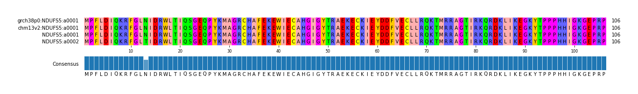 Multiple Alignments (by translate haplotype similarity)