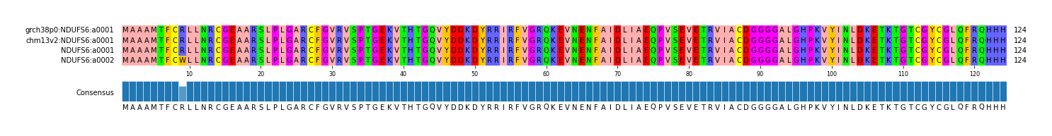 Multiple Alignments (by translate haplotype similarity)