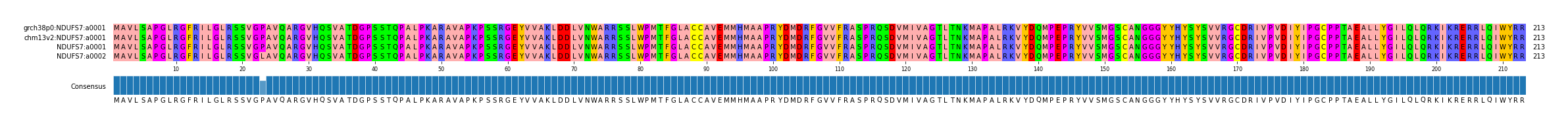 Multiple Alignments (by translate haplotype similarity)