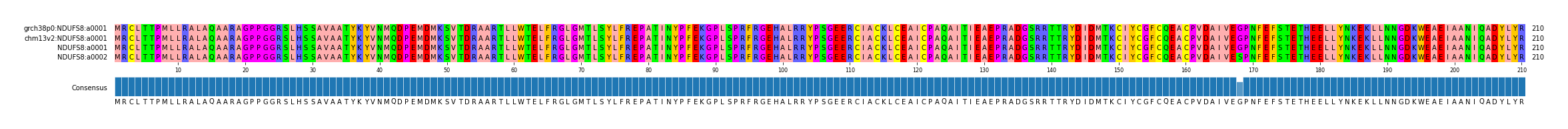 Multiple Alignments (by translate haplotype similarity)