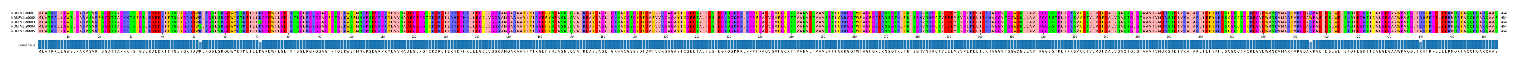 Multiple Alignments (by translate haplotype frequency)