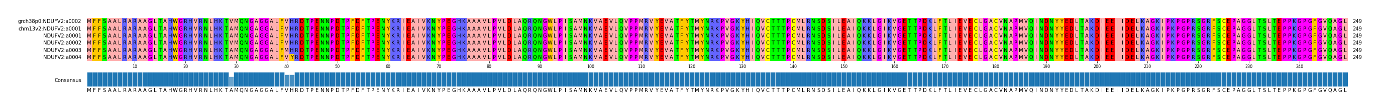 Multiple Alignments (by translate haplotype frequency)