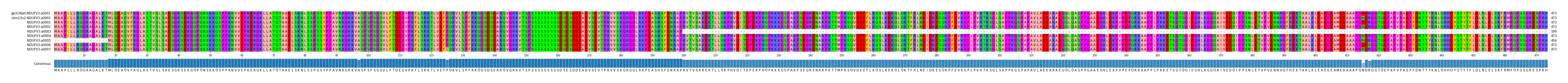 Multiple Alignments (by translate haplotype frequency)