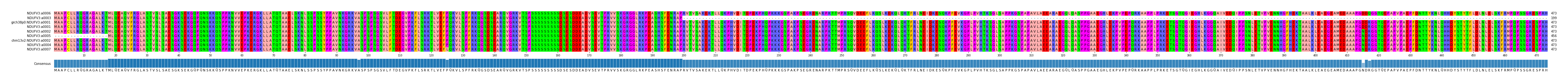 Multiple Alignments (by translate haplotype similarity)