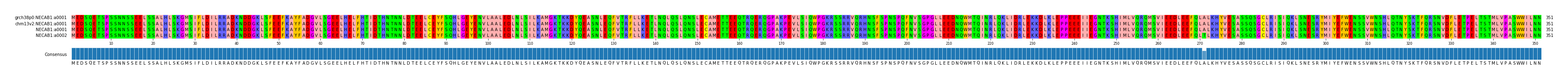 Multiple Alignments (by translate haplotype similarity)