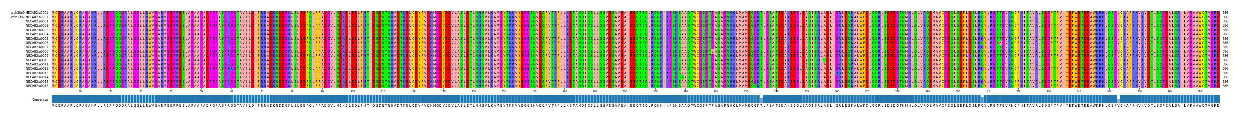 Multiple Alignments (by translate haplotype frequency)