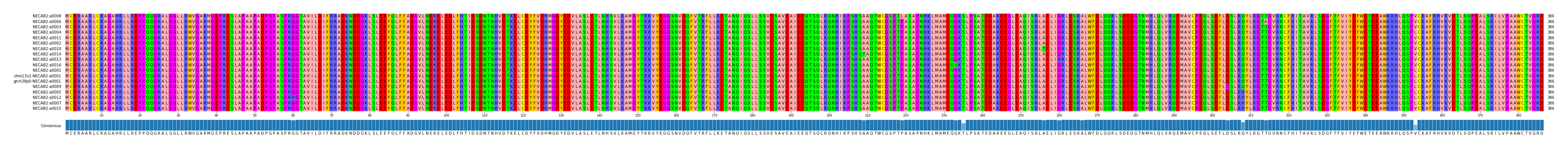 Multiple Alignments (by translate haplotype similarity)