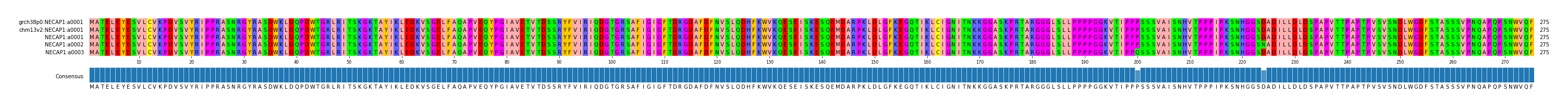 Multiple Alignments (by translate haplotype frequency)