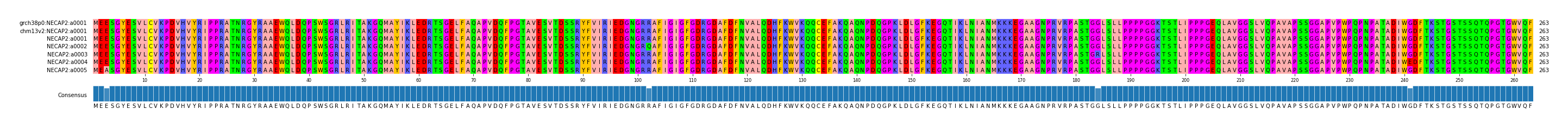 Multiple Alignments (by translate haplotype frequency)